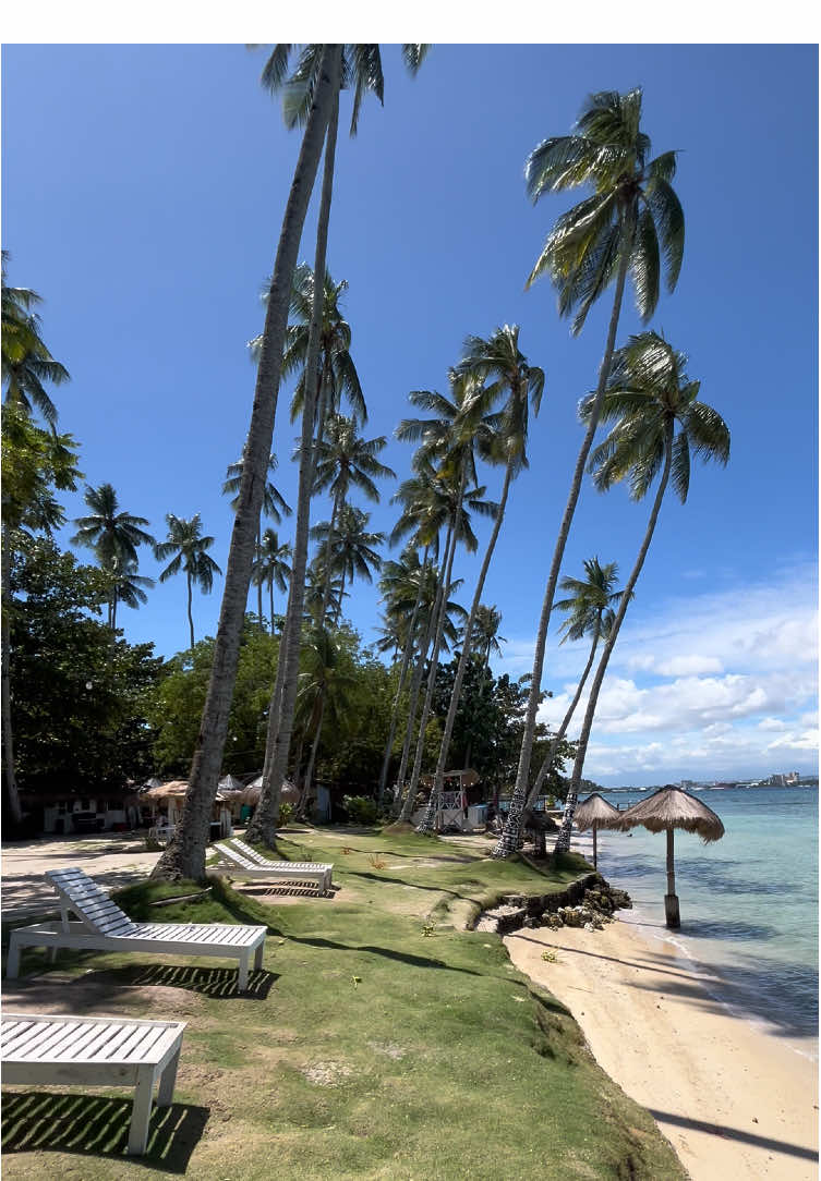 When reality is better than fantasy 🌴☀️✨  #hamugawaybeach #samalisland #beachvibes #baliinspired #fyp 