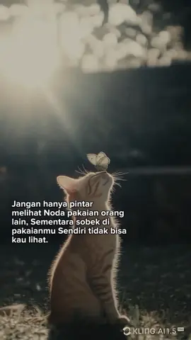 jangan hanya pintar menilai keburukan orang lain tanpa melihat aib diri sendiri #sama sama muhasabah diri #fypシ 