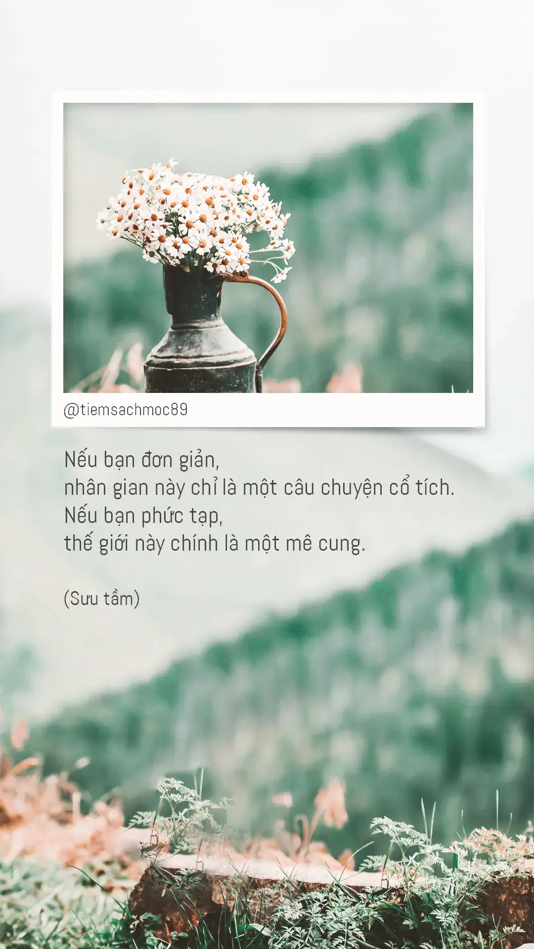 Nếu bạn đơn giản #fyp #foryou #status #tamtrang #tiemsachmoc89 