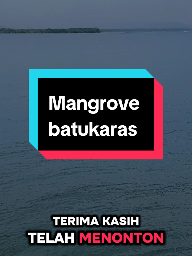 Langsung di cek out aja ya bos, biar makin kece 🤩 #fyp #batukaras #jembatanmangrove  #fyppppppppppppppppppppppp #sepatuputih #sepatu 