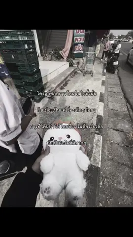 น่ารั้กกๆ<3 #fyp #real #เธรดคําพูด #foryou #เธรดความรู้สึก 