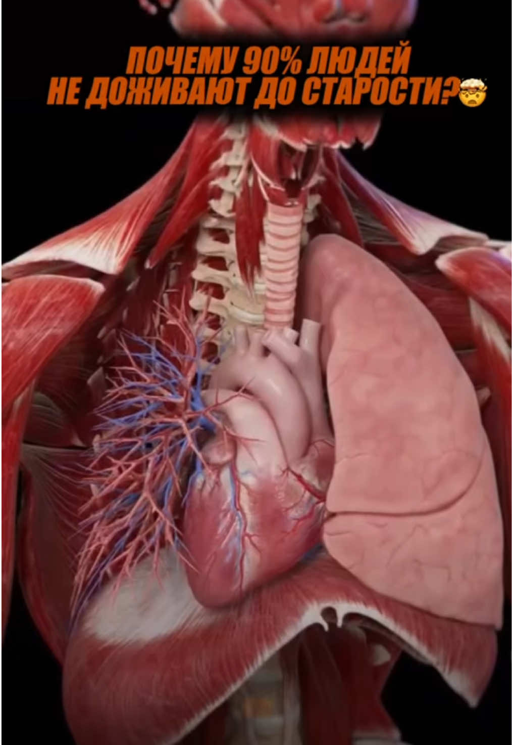 90% людей не доживают до старости! И вот почему…