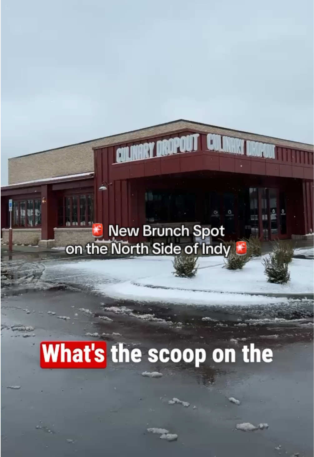 You need to check out this new restaurant in Nora on the north side of Indianapolis. @Culinary Dropout #indianapolis #indiana #foodtiktok 