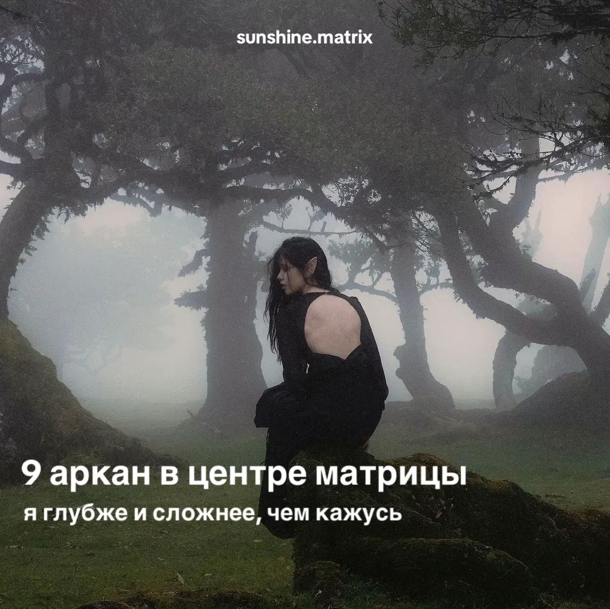 по вопросам разбора матрицы писать в labrouste. подписывайтесь также на тгк в шапке профиля ✨ #матрица #матрицасудьбы #таро #центральныйаркан #9аркан