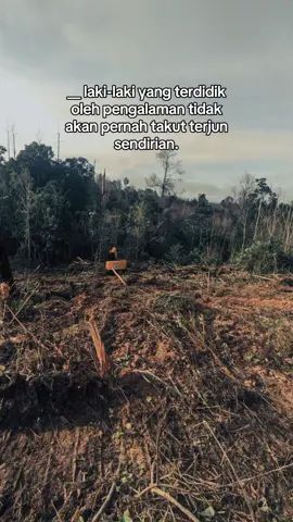 Nambah lagi 🌴🌴😇#petanimuda #fypwa #petanisawitindonesia🇮🇩 #sawitontiktok #sawitkalimantan #k 