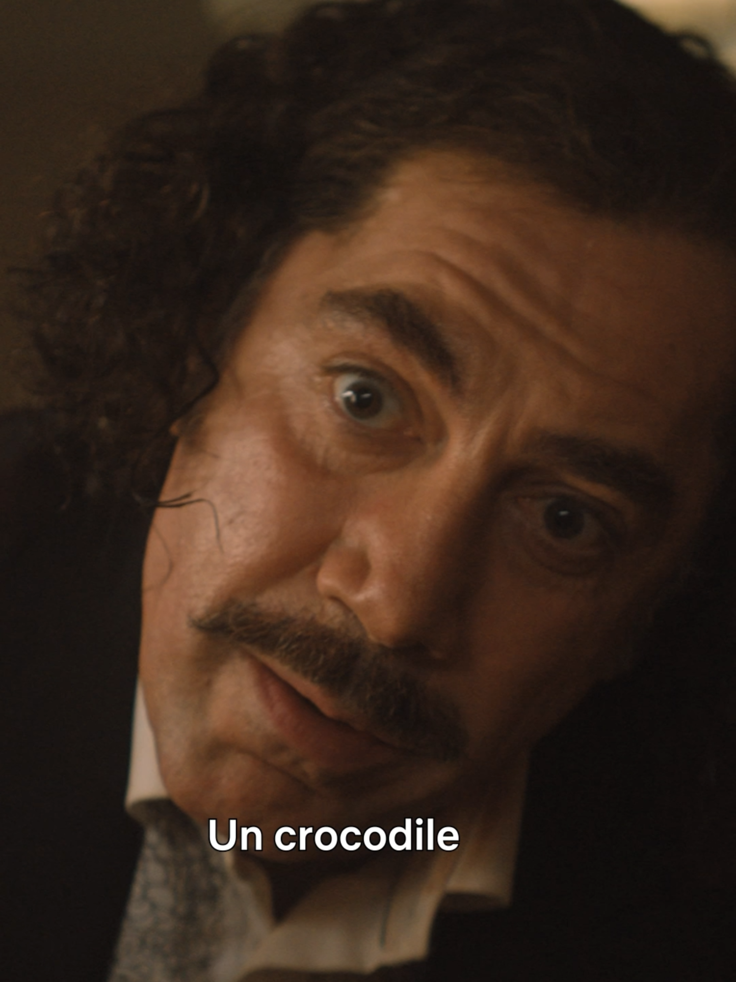 ✨ LA LALA LA LAAA ✨ #crocodile #shawnmendes #javierbardem #netflix #filmtok #onregardequoi