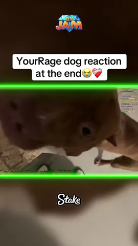YourRage dog reaction at the end😭❤️‍🩹 #Fyp #rage #yrg #yourrage #yourragegaming #amp #dukedennis #kick #twitch #rageirl 