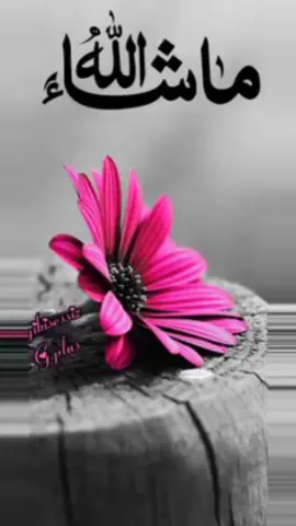 #### উর্দু গজল শুনতে কার ভালো লাগে ###  ## Tiktok four you video 🥰🥰🥰