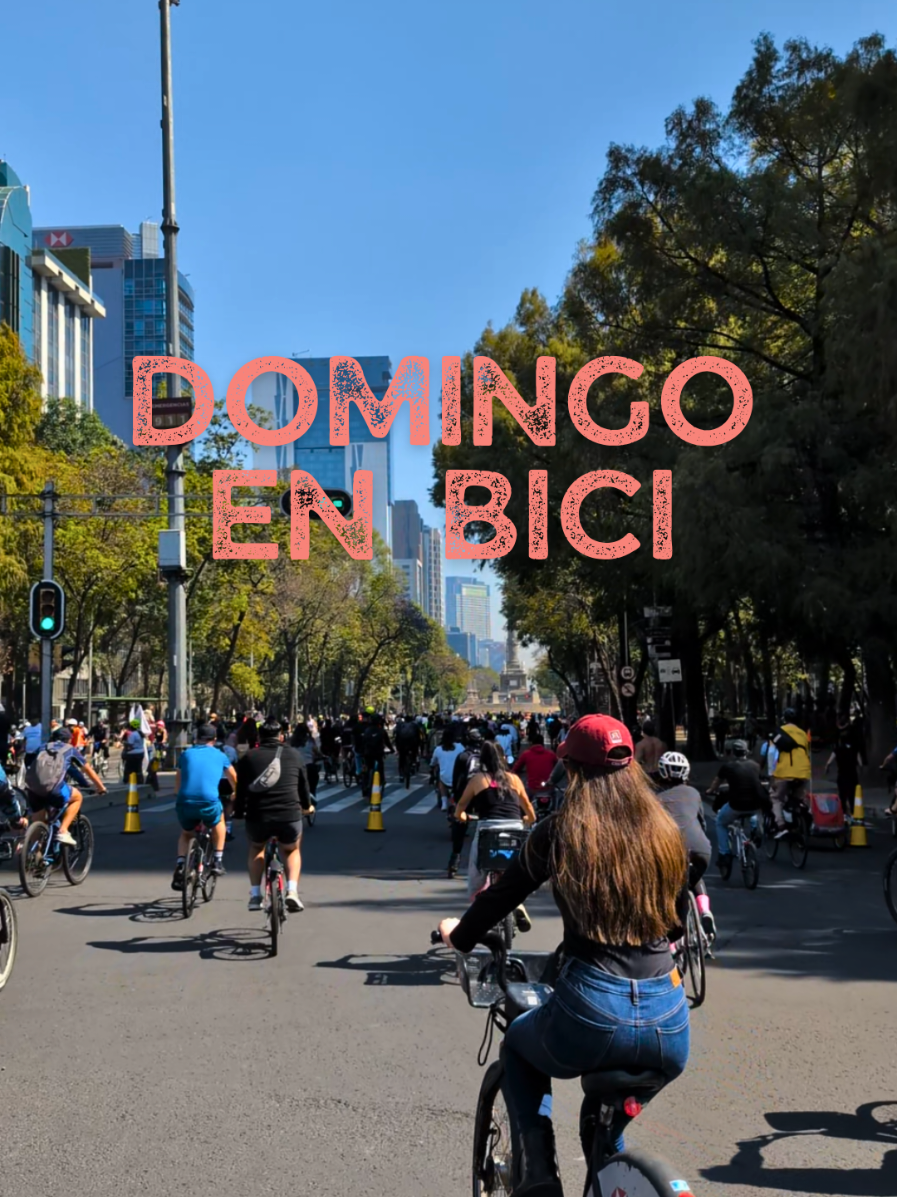 Sunday mornings in Mexico City hit different – no traffic, just bikes and the best views. 🚲💨  Took over the streets with thousands of others for Sunday Cyclovía after treating ourselves to some next-level pastries and coffee at Panadería Rosetta. Mean doesn't even begin to cover it. 🔥🌟  This is how Sundays are meant to be. #Cyclovia #MexicoCityVibes #CDMXBici #MuéveteEnBici #CDMXLife  #DomingoEnBici #BiciSunday #ThingsToDoInCDMX #MexicoCityItinerary #ThingsToDoInMexicoCity @ecobicicdmx @CDMX365 @CDMX Secreta @cdmx @Yo.soy.CDMX @Ciudad de México @Mexico 🇲🇽 @Mexico @Mexico City @VisitMéxico_Oficial 