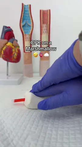 CPR demo… on a marshmallow 👀💭 #CPR #NursingStudent #FutureNurse #NursingSchool #BLS #NurseLife