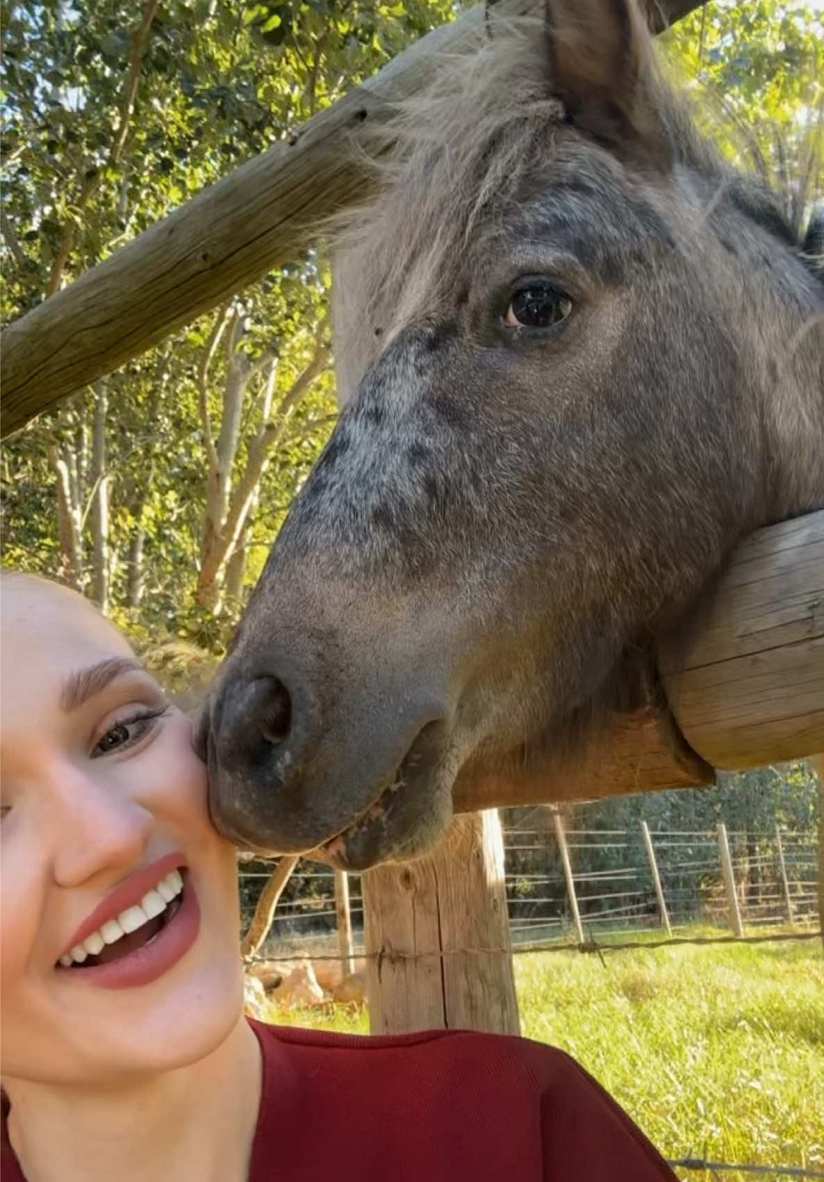 Cool guy 😩 #horse #viral #fyp #funny #southafrica #capetown 