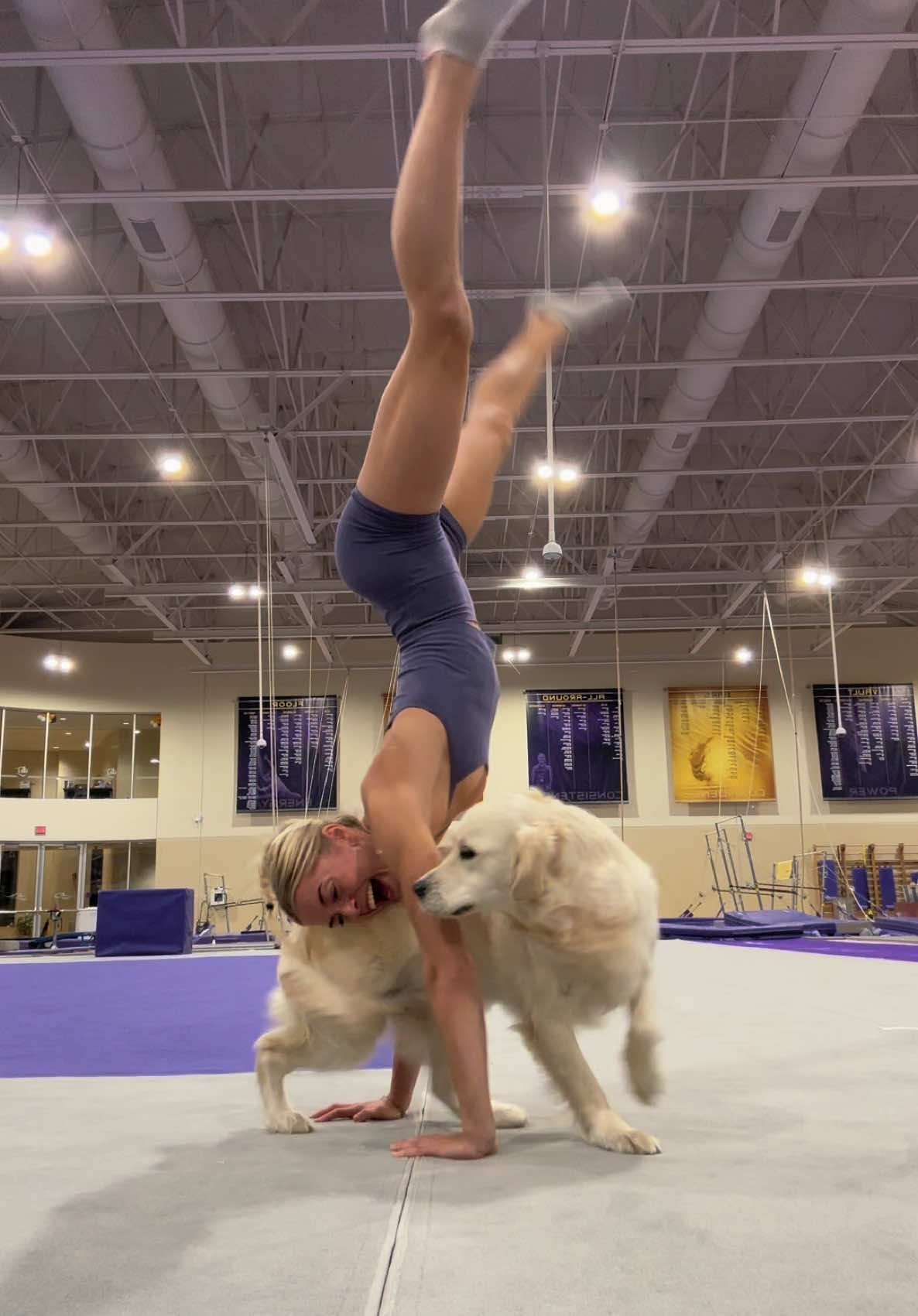 Best gym partner ever #foryou #gym #gymnastics #dog #lsu 