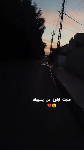 #🤍✨ #شعب_الصيني_ماله_حل😂😂 