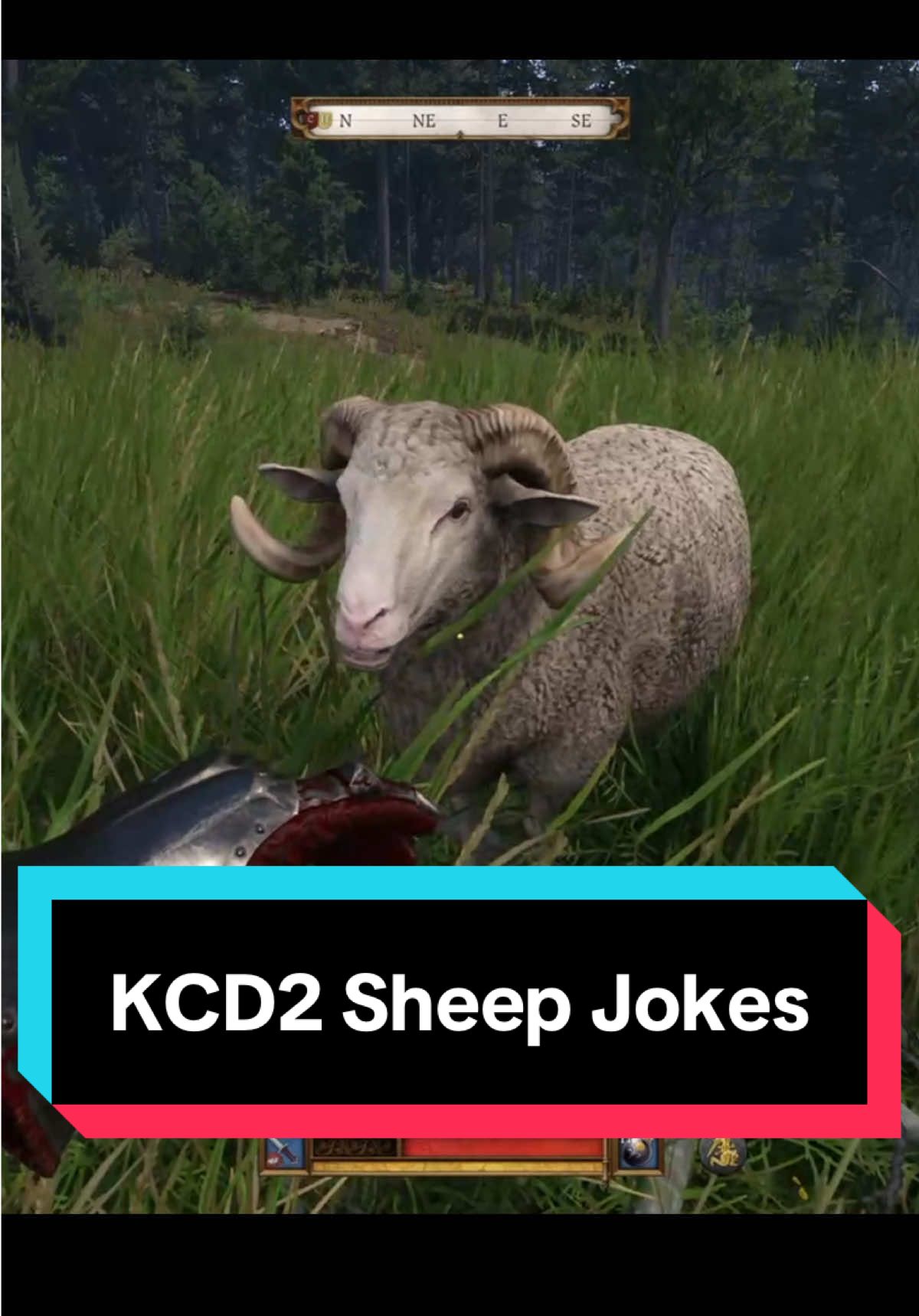 KCD2 sheep talk with some sheep jokes 😂#kingdomcomedeliverance #kingdomcomedeliverance2 #kcd #kcd2 #gaming #kingdomcome #henryofskalitz #fyp #recommendations #KCD2 