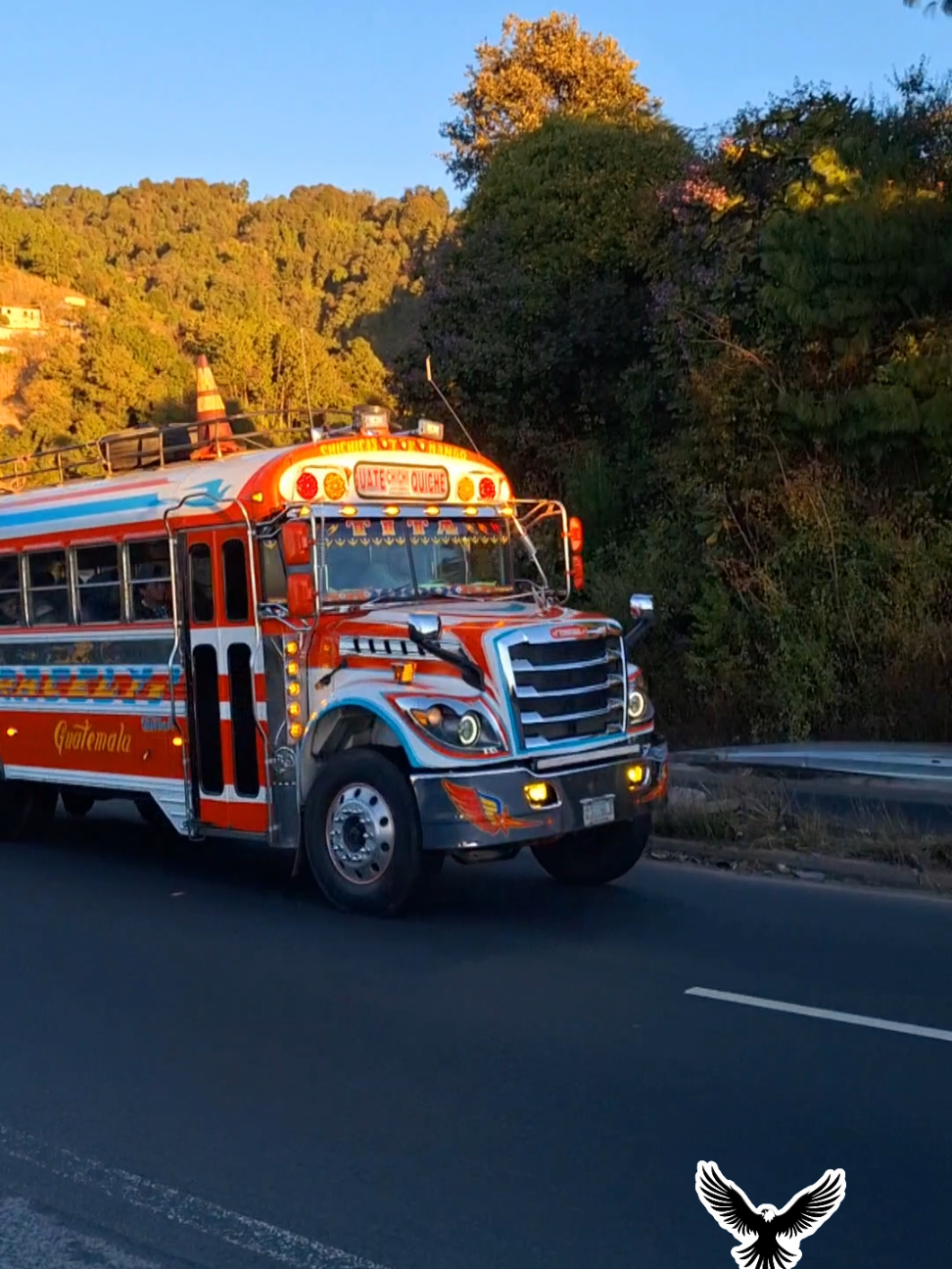 #busesquiche #busesdeguatemala❤️🇬🇹 #thebestbuses #santacruz #sinmiedoalexito #bellezassobreruedas #velozquichelense #joyabajquiche🙂🇬🇹😍 