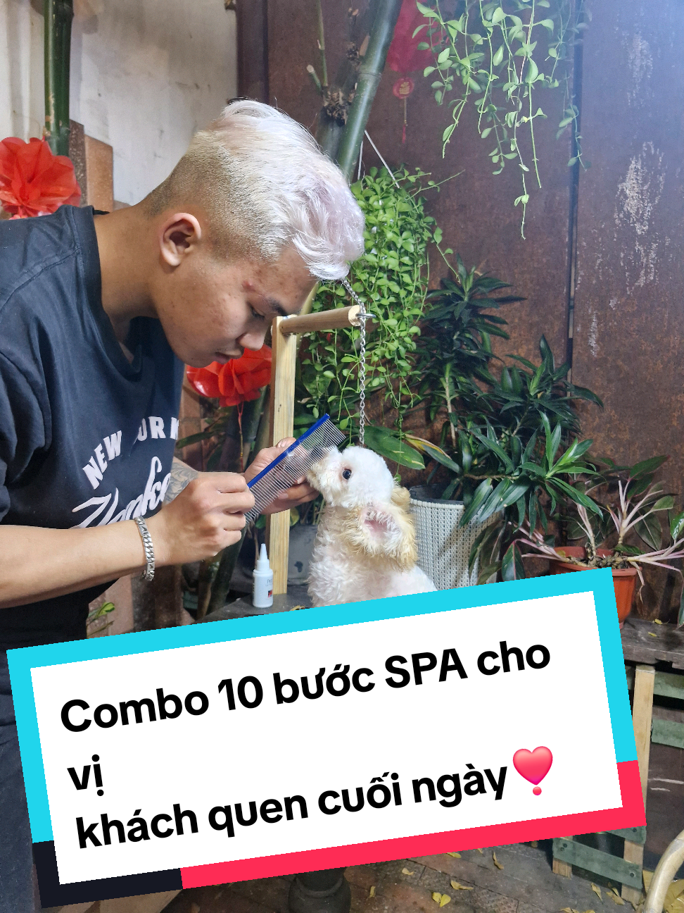 #Combo 10 bước #spa cho vị khách quen cuối ngày.. #poodlefarm❣️ 