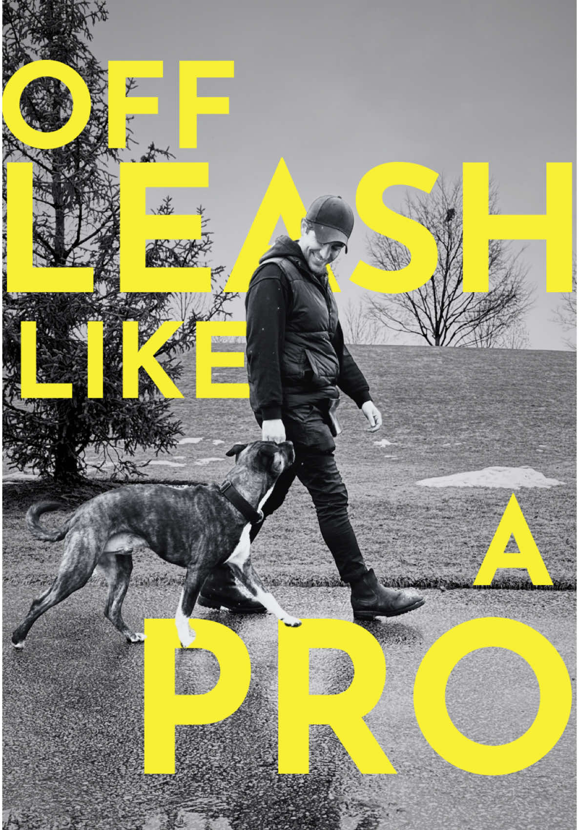 How to teach your dog to walk with you even when off leash #DogTraining #dogtrainer #puppytraining 