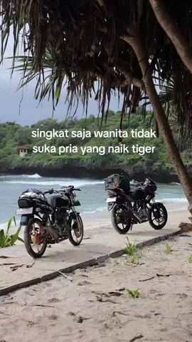 kecuali kowe bagus, ganteng, putih, berotot, DUWE DUIT, duwur,  #tigerjateng #tigerjatim #supertulusvolt4 #supertulus #supertulus #tiger2000 #tigerpangestu #superrevolution #pantaisrau #pantaisraupacitan #fyp 