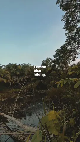 jangan lupa mancing #CapCut #fishingfypシ🎣 #toman #monsterfish #spotidaman #mancing 