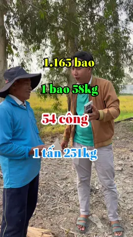 Bà con cắt lúa hết chưa ta #chiase #nongnghiep #lua #agrijapan #tuyetanhagrijapan #caylua 