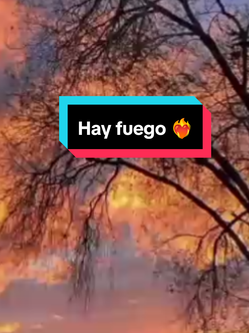 Hermosos coros de Fuego ❤️‍🔥 por nuestra HNA Delia de Rodríguez 🔥 NOTA: TODOS LOS VIDEOS SUBIDOS Y COMPARTIDOS NO SON CON EL LUCRO DE GANAR DINERO TODOS SON PARA LA GLORIA DE DIOS Y FORTALEZA DE SU ALMA BENDICIÓNES CRISTO PRONTO VIENE 💞🫂 #hagamosviralajesus #fyp #fuego #tiktokvideos #paratiiiiiiiiiiiiiiiiiiiiiiiiiiiiiii #adoracioncristiana #coros #viralvideos #viral #alabanzas_cristianas #corosdeavivamiento