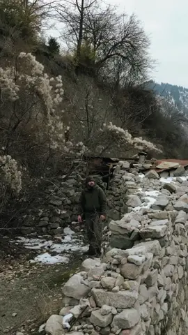 Renovate a stone hut in the mountains#build #bushcraft #fyp #outdoor #wildernesscrafters #shelter