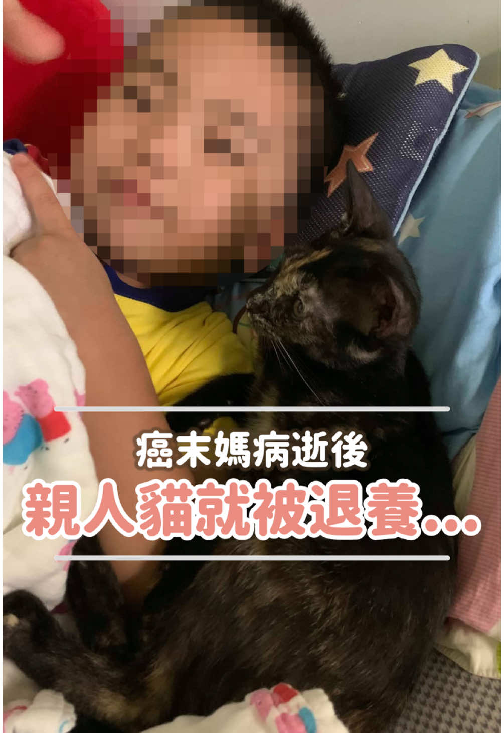 癌末媽病逝後，親人貓就被退養..#転運棧貓咪中途咖啡廳 #貓咖啡廳 #大同區咖啡廳 #貓領養 #貓中途 