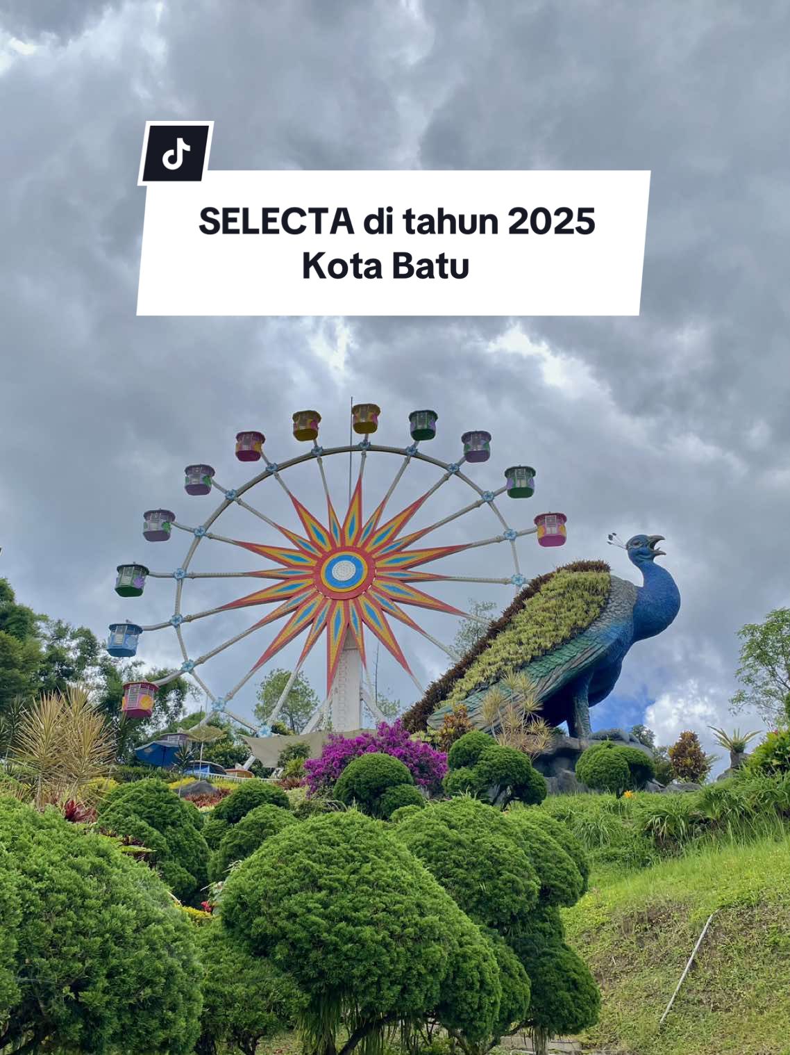 holiyey 🤘🏻 kapan terakhir kalian kesini ?  @Taman Rekreasi Selecta  #selecta #selectamalang #healingmalang #selecta#malang #malanghits #malang24jam #malangterkini #wisata #healing #wisatamalang #kotabatu #journey  #kotabatumalang #batumalang #kotabatukotawisata #holiday #batumalangjatim #malangbatu #weekend #tiktok #fyp #batu 