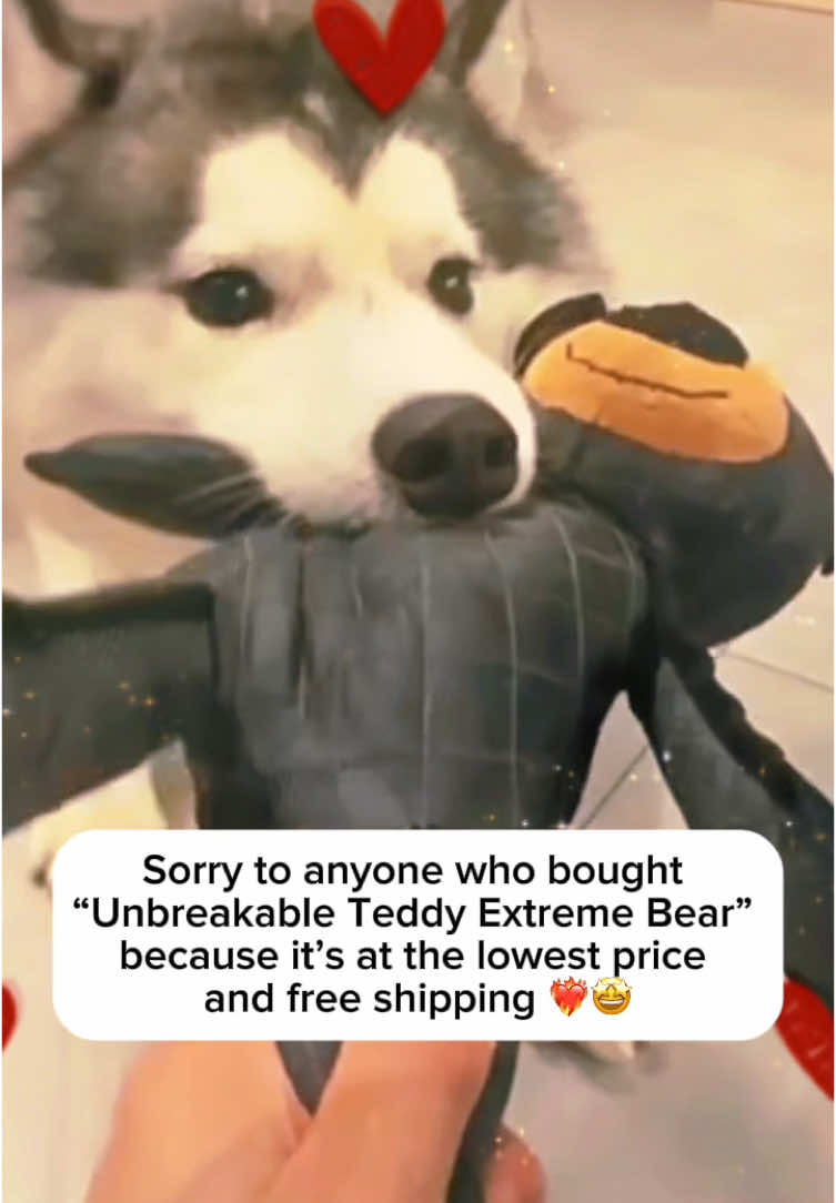 My dog can destroy this toy… #toy #pet #unbreakable #bear #pettoys #chewer #fypシ 
