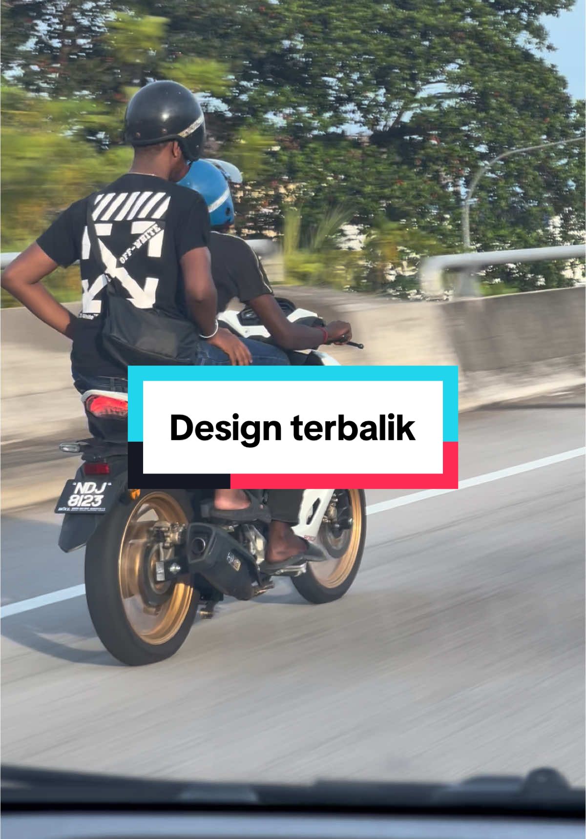 Terhibur balik kerja tengok gelagat ni. 