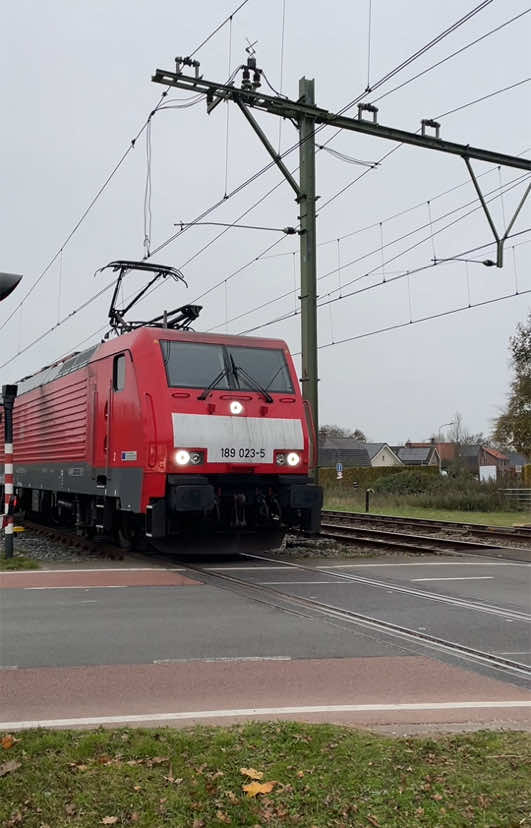 Een paar claxons