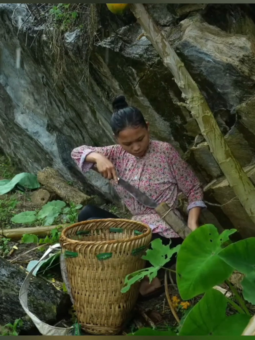 Single mother Harvest when heavy rain comes #nature #livewithnature #survival #singlemom #bamboo #building 