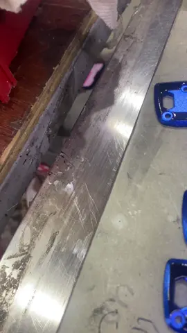 Hình ảnh những con.người vì tình yêu có thể làm nhưng thứ rất kì lạ😅