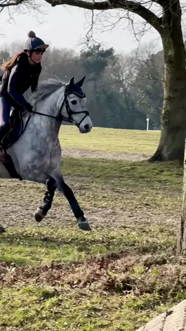 Dream big! Monkey loving Tweseldown 😊 @LeMieux Products Official  @Charles Owen @Treehouse Sporting Colours  @hitairukofficial @Tech Stirrups @The Pure Feed Company  #connemarapony #pony #equestrian #eventer #fyp 