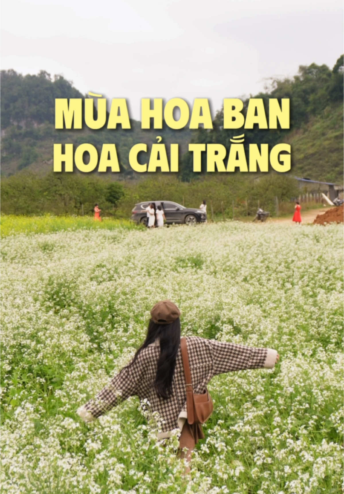 1 tháng nữa thôi là Mộc Châu lại vào mùa hoa ban, hoa cải trắng rùii! Tranh thủ đi Mộc Châu thui! @azgotrip #homnaodidi #azgo #HoanTienDuLich #DuLichTietKiem #mocchau #dulichmocchau 