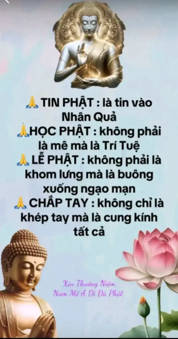 #phatphapnhiemmau #loiphatday #tutap #thuctinh #nammobonsuthichcamauniphat 