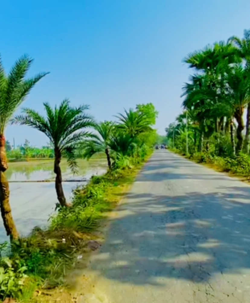 View,,😌🍃#foryou #fypシ #viraltiktok #trendingsound #Nature #tiktokbangladeshofficial 