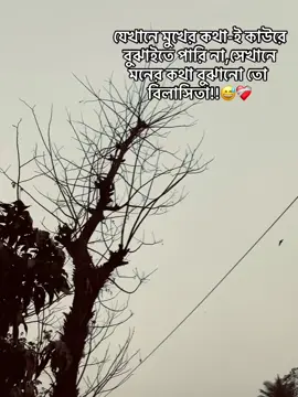 যেখানে মুখের কথা-ই কাউরে বুঝাইতে পারি না,সেখানে মনের কথা বুঝানো তো বিলাসিতা!!আমি তাদের মাঝে 😅💗#sadcaption #fypツ #foryou #vairal #foryoupageofficiall #bdtiktokofficial ##fyppppppppppppppppppppppp 