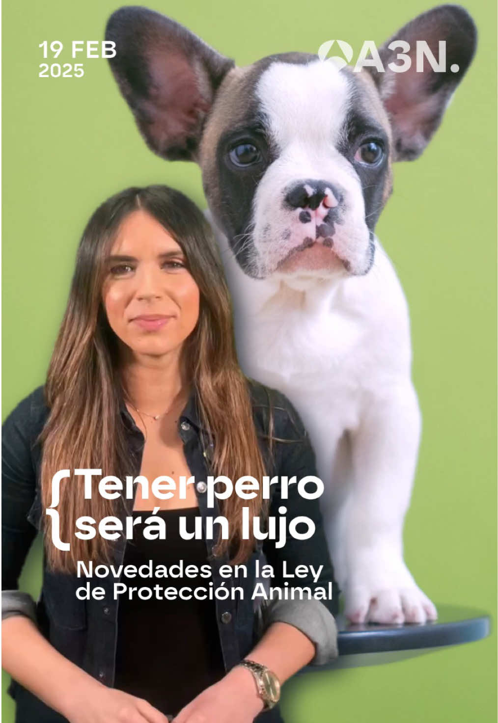 💰 Tener perro podría convertirse en un lujo 🐕 La nueva Ley de Protección Animal podría conllevar más gastos para quienes tienen mascotas 🎙️ Laura Simón cuenta todos los detalles 📲 Sigue toda la #actualidad en antena3noticias.com #Antena3Noticias #Noticias #NoticiasTikTok#News