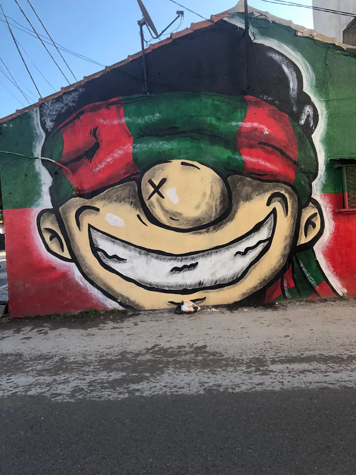 #شعب_الصيني_ماله_حل😂😂 #مولودية🇧🇬🇧🇬_نعشق_فيهااا💚 #ولاد_الخضرة❤️💚 #مزيود_القصبة #mouloudia_virage_sud🇮🇹🙏 #capcutamor 