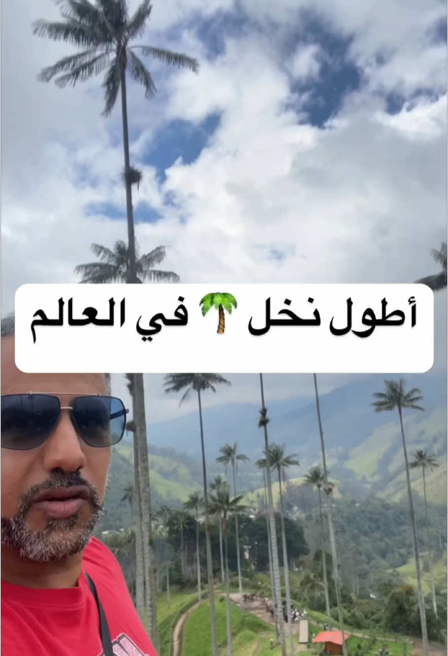 وادي كوكورا في كولومبيا فيه أطول نخل في العالم، قد يصل طولها إلى ٦٠ متر . الرحلة تشمل ثلاث أماكن Cocora Salento Filandia . بيئة فيلم ديزني Encanto من هذا المكان . Colombia 