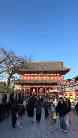 Sensoji Temple is a Buddhist temple also known as Asakusa Kannon Temple. It is one of the most popular places to visit in Tokyo #japan #japantravel #asakusa #temple #japanese #日本 #tokyo #fyp #foryou #foryoupage #algorithm 