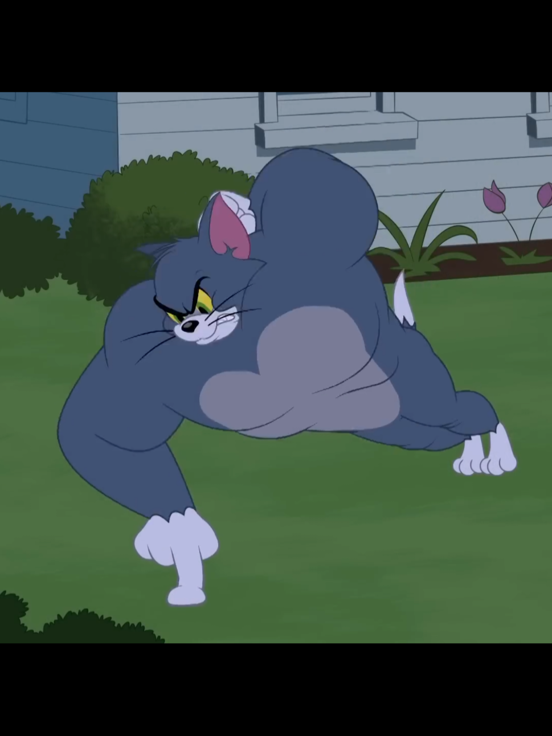 #cartoon #tomandjerry #animation 