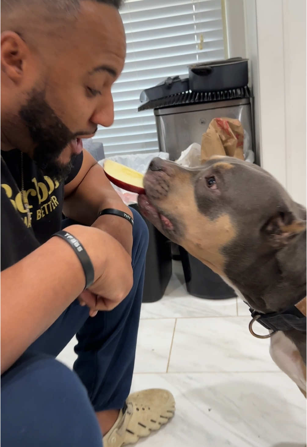 She’s only nice too me #mydogtools #pup #puppy #americanbully #merlebully #frenchie #frenchbulldog #pocketbully #xlbully #takecareofyourdog #takecareofyourdogs #mydogssuck #beardeddragon 