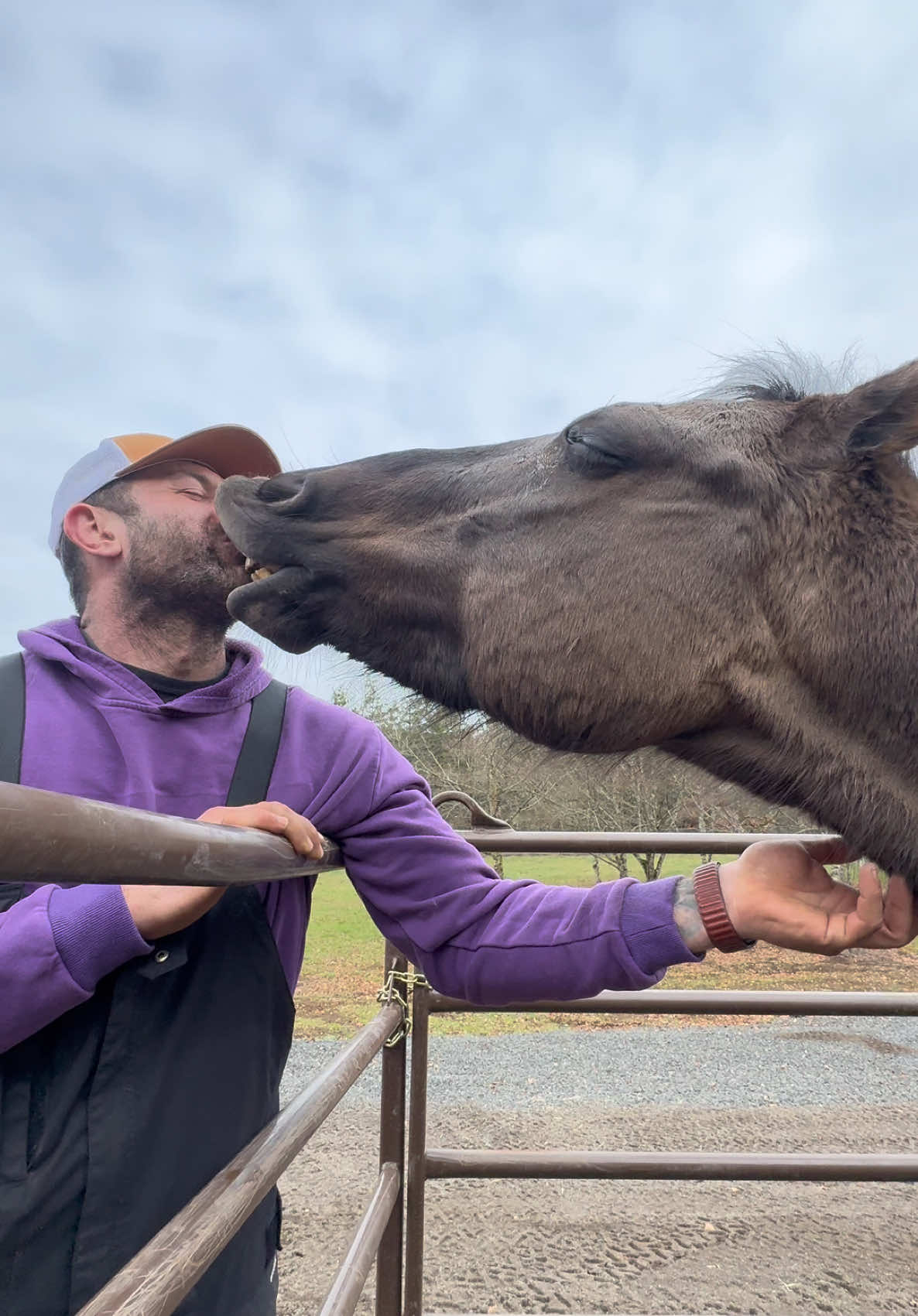 When someone asks me what my favorite type of dog is, I always say a horse! ❤️