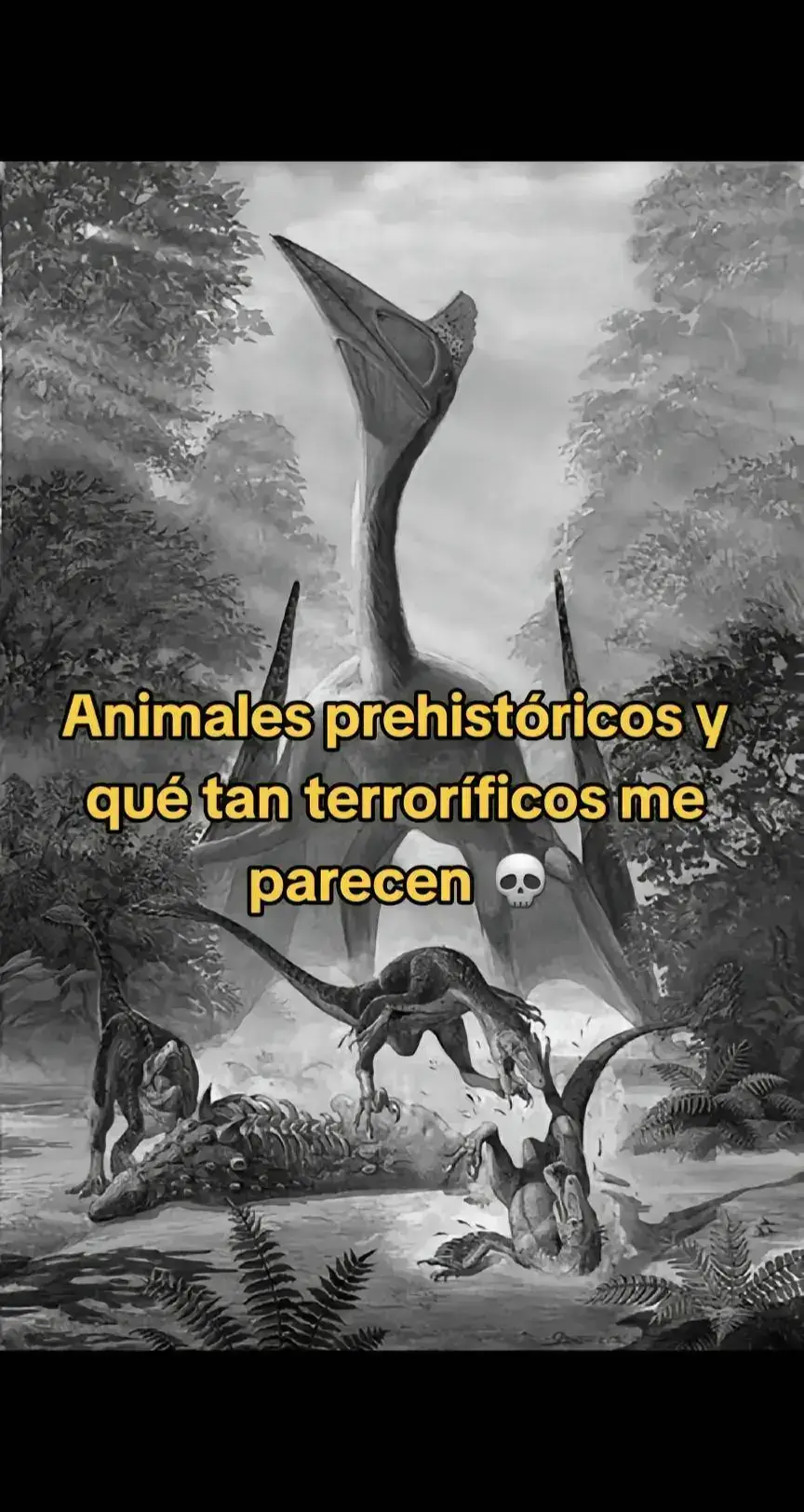 #prehistoria #dinosaurios #fossils #animales #paleo #paleontology #paleoandrea 