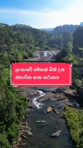 ලංකාවේ මෙතක් බිහි උන ස්භාවික නාන තථාකය 