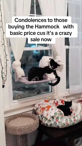 The fabric is so soft and it was fairly easy to build #pet #cat #catmom #catsoftiktok #dealsforyoudays #tiktokshop 