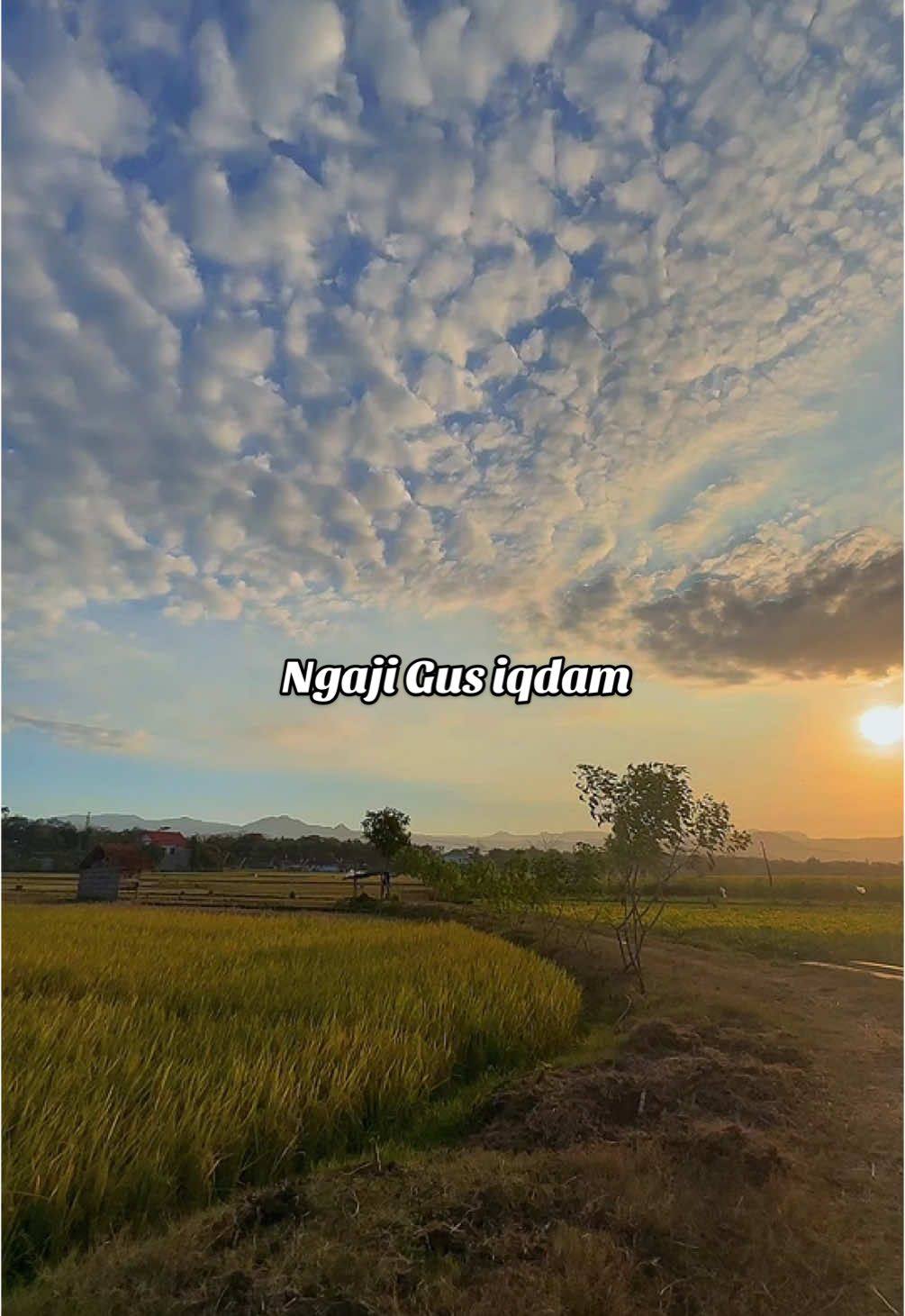 menyambut bulan Ramadhan ngaji bareng Gus iqdam #gusiqdam #gusiqdammuhammad #ngaji #ramadhan #ngajibareng 