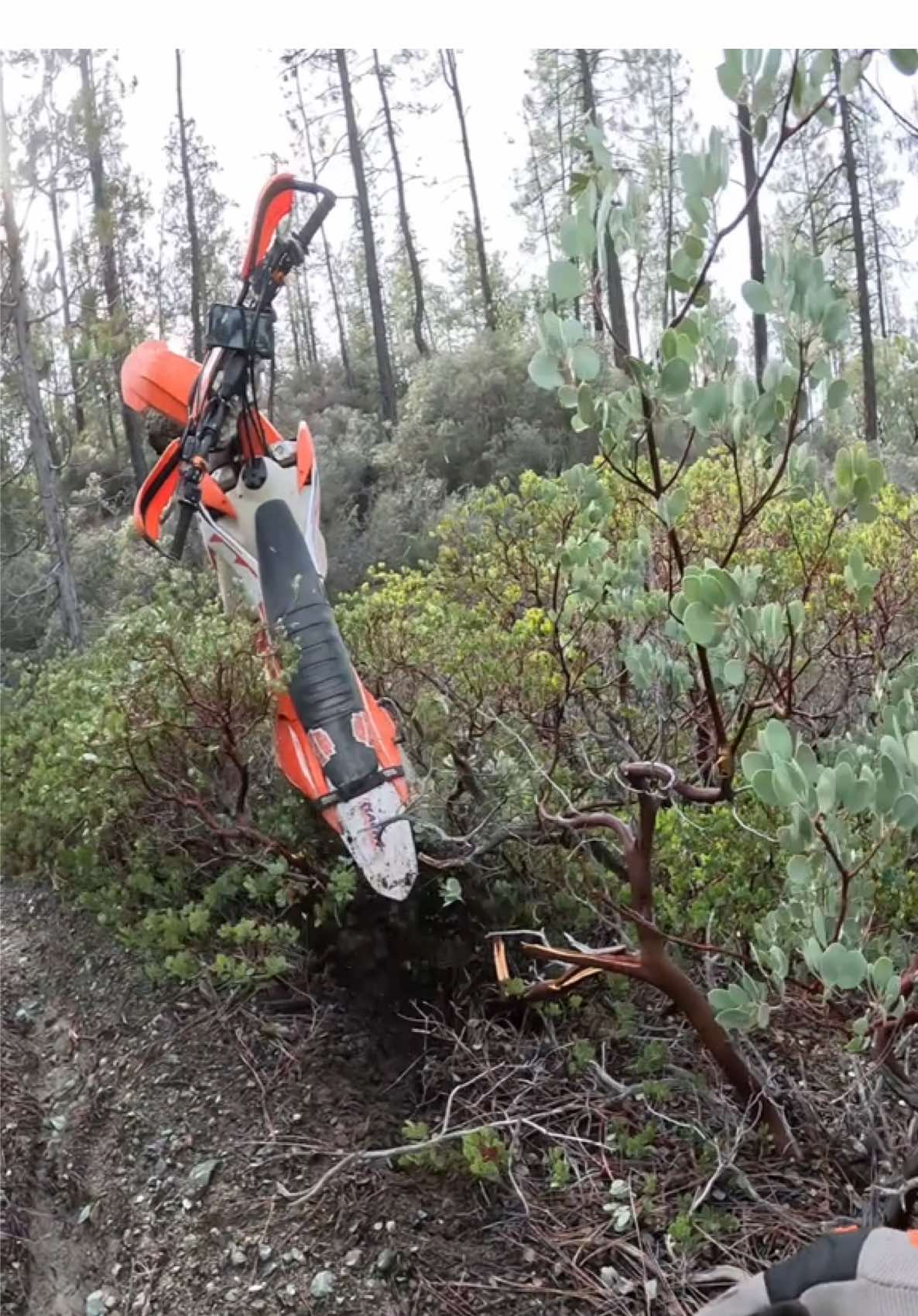 #Ktm450 #Ruta3Letras #enduro #foryou #fyp #HardEnduro #California #Dirtbike #Endurofail #Rutas #Braaap #Singletrack #Trail #MemeCut #Downhill #HillClimb #CapCut #Husqvarna #2Stroke #4Stroke #Freedom #Dreamland #Memories #Recuerdos #Ruta  #Rutas #Compas  #ViewPoint #Landscape #onthisday #Sunset #Sunrise #Scary #Edge #Snow #enduro #Cross #Siganviendo #semarcho #ysemarcho 